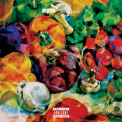 Rockie Fresh & Casey Veggies - Fresh Veggies