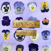 PANSY REMIXES