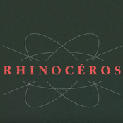 Rhinocéros