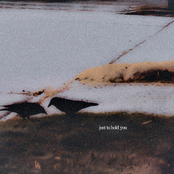 Crows / To hold you..