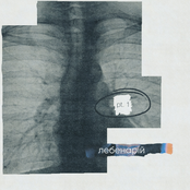 лебенарій (pt.1)