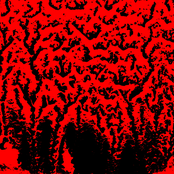 PS070 - Looking at the Triangles