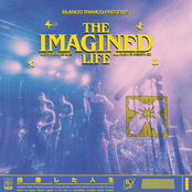 The Imagined Life
