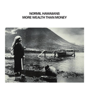 More Wealth Than Money 2xLP