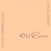 ICU (Remix) – Single