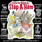 A Fucking Tribute To Slap A Ham
