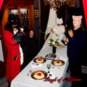 Cosmic Kitten: Laugh of a Lifetime