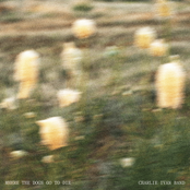 Where the Dogs Go to Die