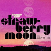 Strawberry Moon (feat. Sharon Van Etten) - Single