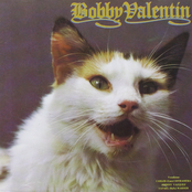 Bobby Valentin: Bobby Valentin