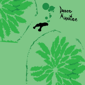 A Manatee Dance by Animal Collective