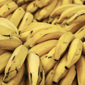 Fundación Por Los Pobres Que No Conocen El Mar Single