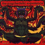 The Psychedelic Experience Vol. 2