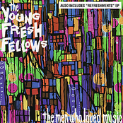 Amy Grant by The Young Fresh Fellows