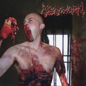 Ravenous Consumption