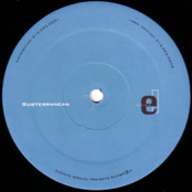 elevate special projects 2