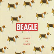 Turn Your Head Around by Beagle