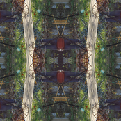 the old electric tooth basket