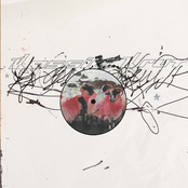 Kassie Krut: Racing Man