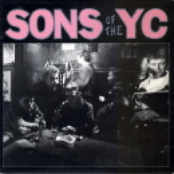 sons of the yc