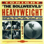 Bollweevils: Heavyweight