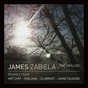 James Zabiela: The Healing