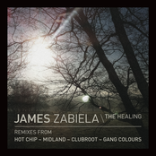 The Healing by James Zabiela