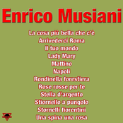 Enrico Musiani
