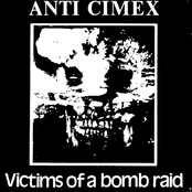 Desperate Hours by Anti Cimex