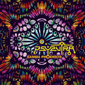 Gamma Phoenicis