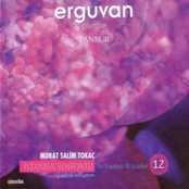 Erguvan (Gençlik Hülyâları)