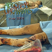 Promo 2005