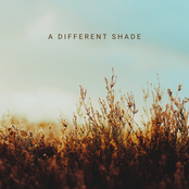 A Different Shade