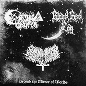 Beyond the Mirror of Worlds