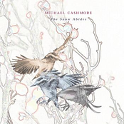 The Snow Abides by Michael Cashmore