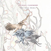 Snow No Longer by Michael Cashmore