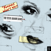 Only Wanted You To Know by The Steve Adamyk Band
