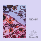 Sunbeam of No Illusion