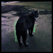 Live, The Show Tomorrow