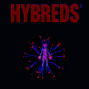 HYBREDS
