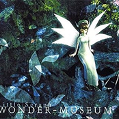 WONDER MUSEUM