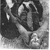 Deep Fried Embryo / Cedric's Lettuce