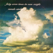 47 Times It's Own Weight