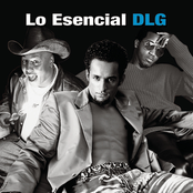 DLG: Lo Esencial