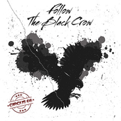 Follow The Black Crow