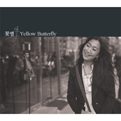 Yellow Butterfly
