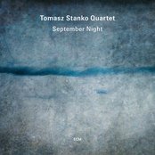 September Night Artwork