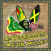 Damon Williams: Hawaii Sings Jacob Miller