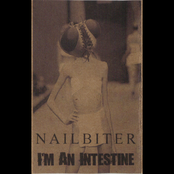 I'm An Intestine / Nailbiter