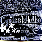 Cyndee Lee Hulko